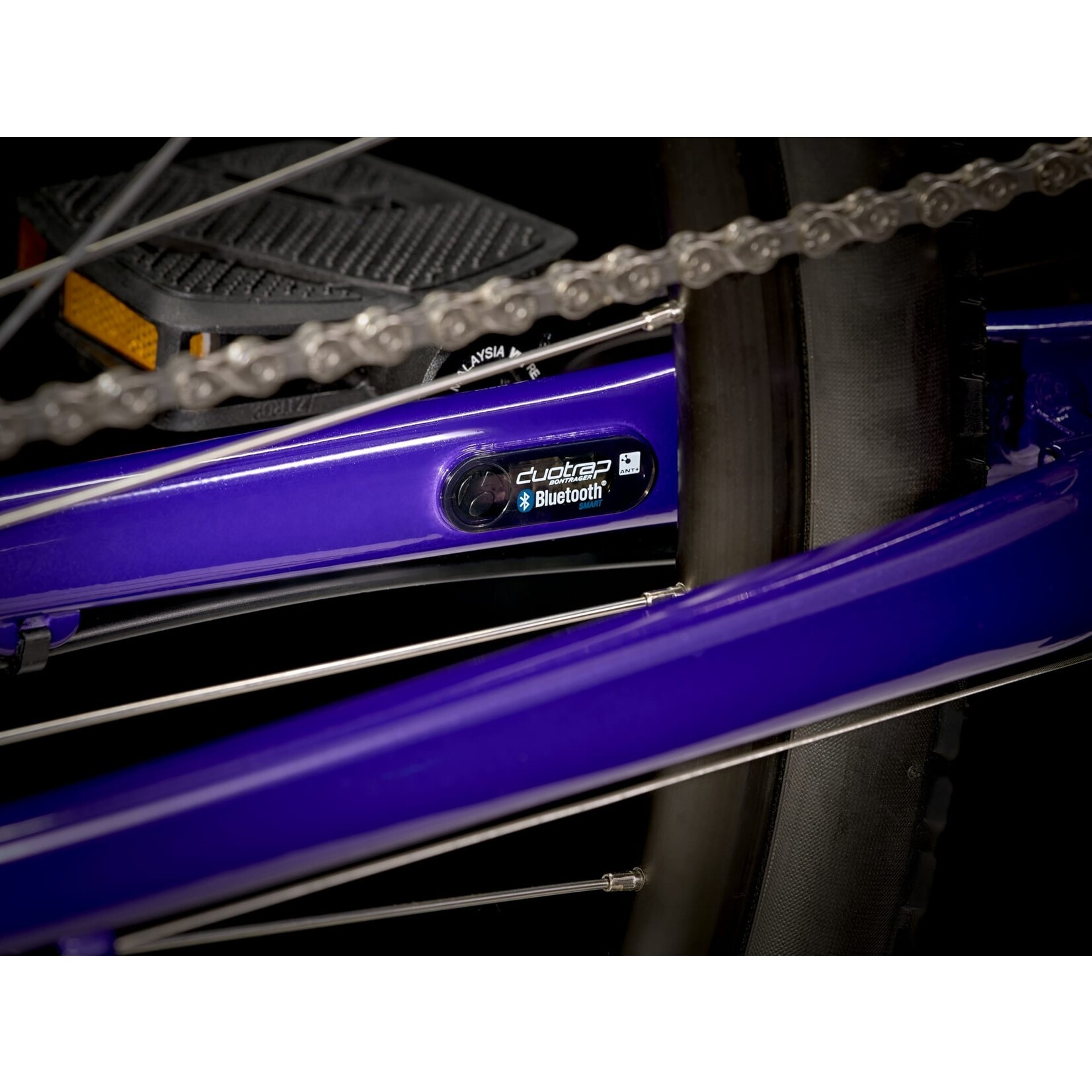 TREK VERVE 3 L MD PURPLE