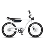 Electric Bike Co Model J