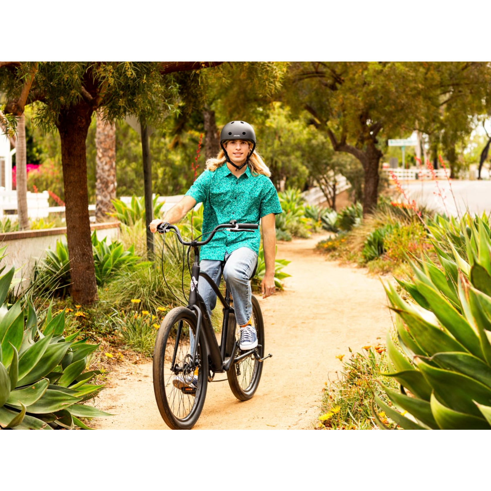 Electra Townie GO! 7D Black Step Over