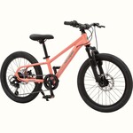 Retrospec Dart Plus 20” Kids’ Bike 7 Speed Fairy Floss