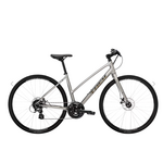 Trek FX 1 Disc Midstep Gen 3 LG
