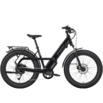 Trek Borrego+