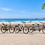 Bike Rentals