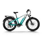 Himiway Himiway D5 Zebra