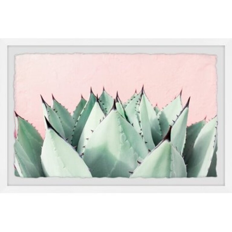 Sweet Succulents - Print on Paper Size: 8" H x 12" W x 1.5" D, Format: White Framed with Deckled Edge