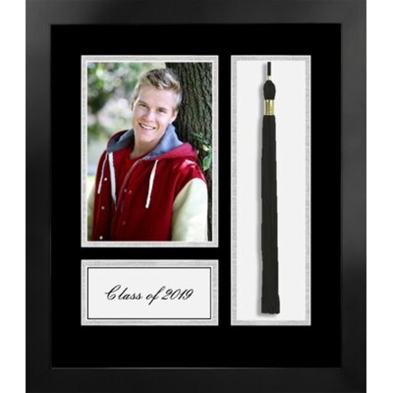 Uddevalla Academic Picture Frame Color: Black/Silver