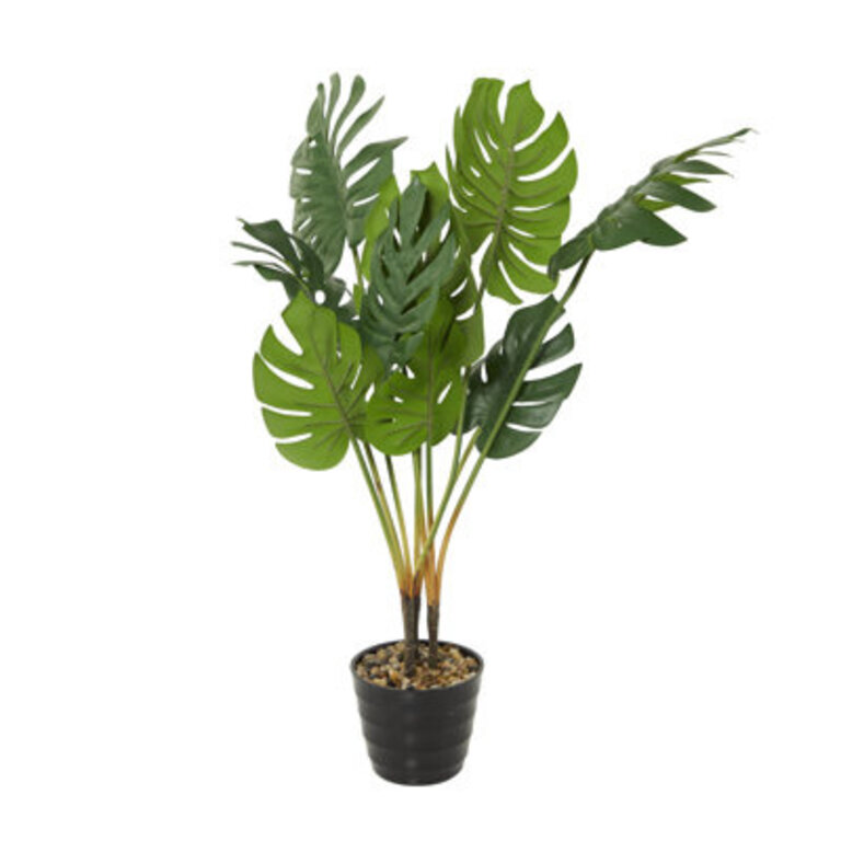 36" Artificial Monstera Tree in Pot Wayfair Outlet Greensboro, NC