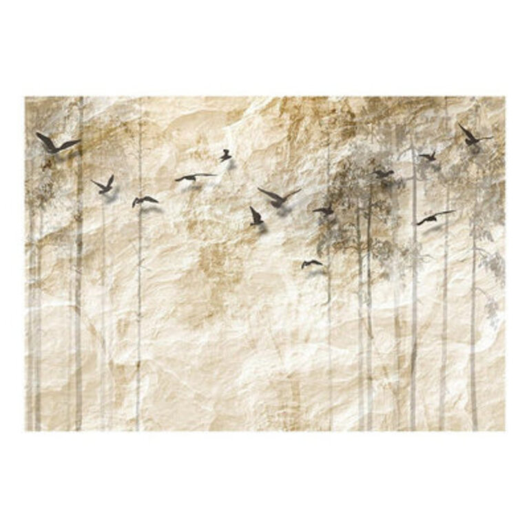 Wall Mural Size: 9.17' L x 13.08' W