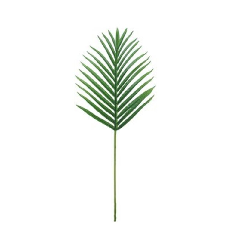 Hawaiian Areca Palm Leaf Stem Size: 25.5" H x 11" W x 0.5" D