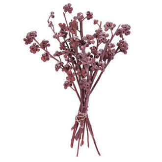 13" Preserved Foliage Branch Flowers/Leaves Color: Red