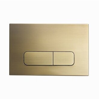Wall Mount Dual Flush Actuator Plate With Rectangle Push Buttons Finish: Brushed Brass