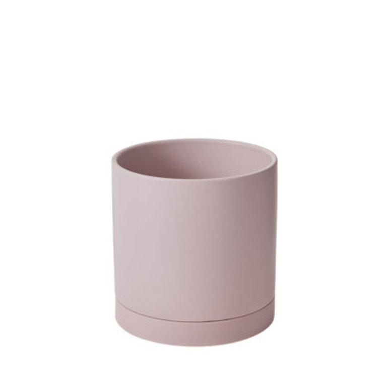 Carlotta Ceramic Pot Planter Color: Purple, Size: 10" H x 10" W x 10" D