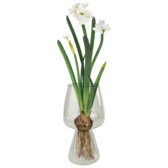 Cotton Clear 7.5" Glass Table Vase