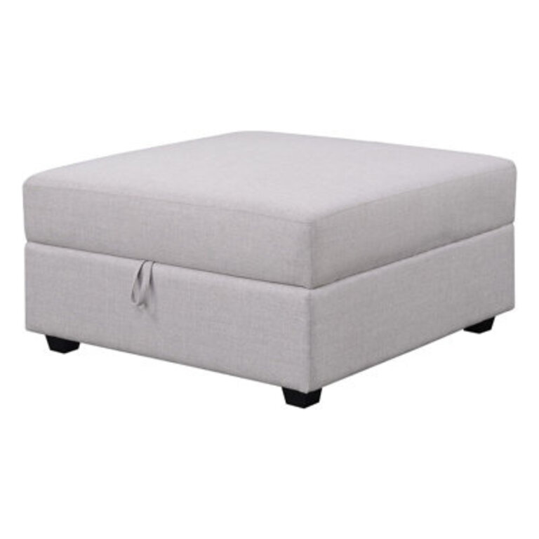 Blydenburgh Square Storage Ottoman