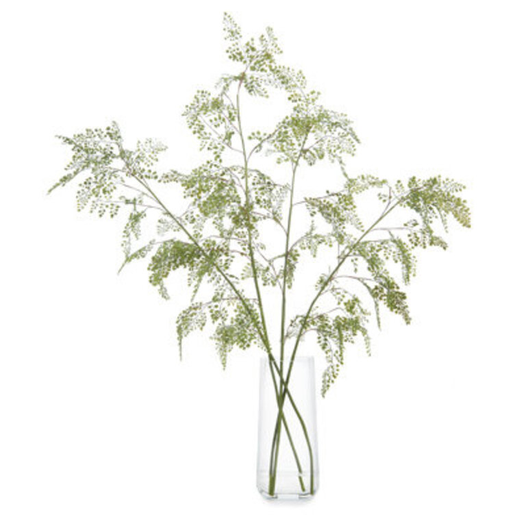 53'' Faux Fern Branch in Glass Jar