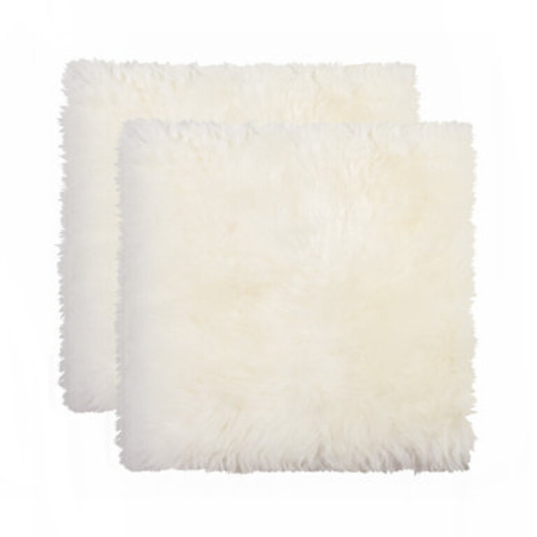 Indoor Chair Pad Cushion Cushion Color: Natural, Cushion Size: 17" x 17", Set Size: 2