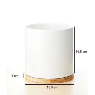 Set Of 2, 4.5" Indoor Outdoor Ceramic Planter Flower Pot (White & White) Color: Black/White (Set of 2)