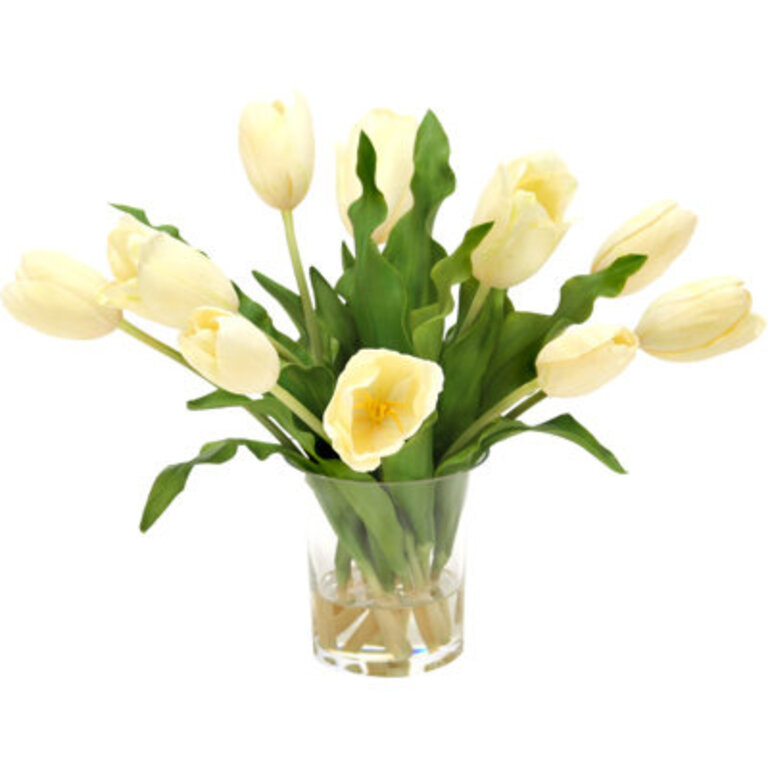 Cream White Tulips in Glass Vase