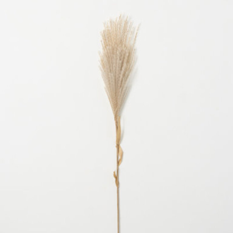 Mcneely Feathery Reed Stems
