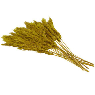 Dried Plant Floral And Botanical Artificial Foliage Size: 35.43" H x 2.36" W x 0.59" D, Flowers/Leaves Color: Yellow