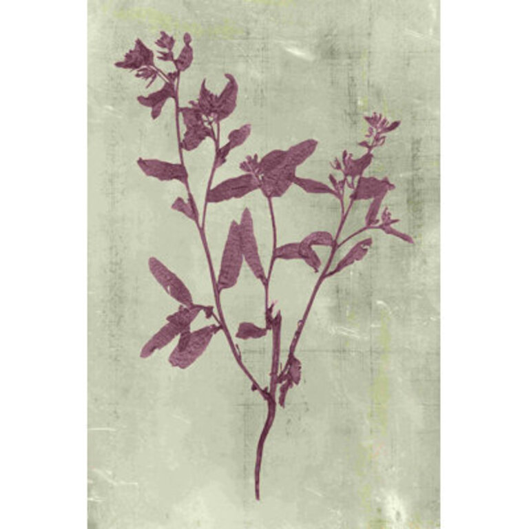 Impressions In Plum Size: 36" H x 24" W x 1.25'' D