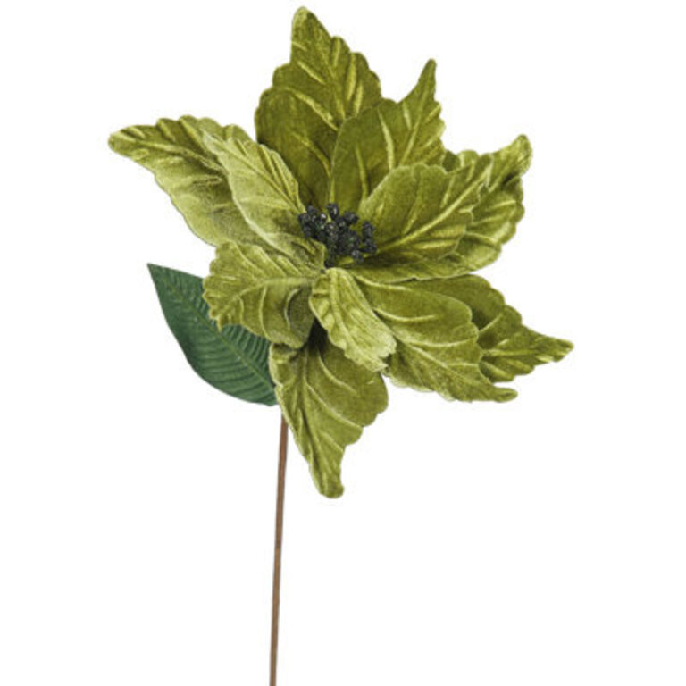 22" Poinsettia Aritificial Christmas Pick Flowers/Leaves Color: Olive