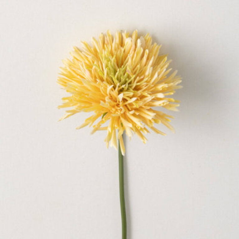Chrysanthemum Arrangement Flower Color: Yellow