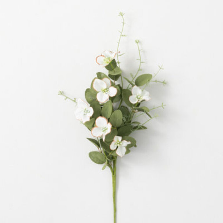 Mcquade Dogwood Stems