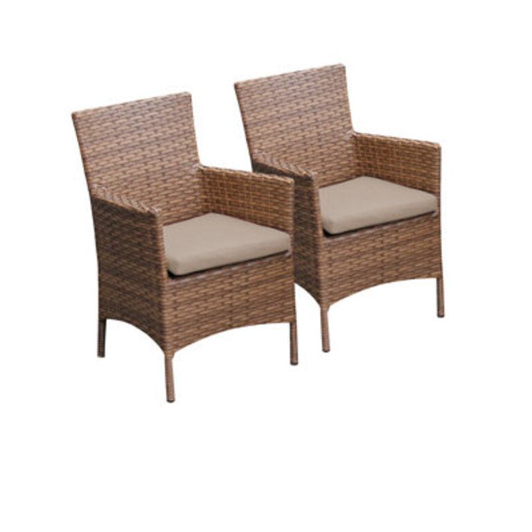 Waterbury Patio Dining Chair with Cushion (Set of 2)
