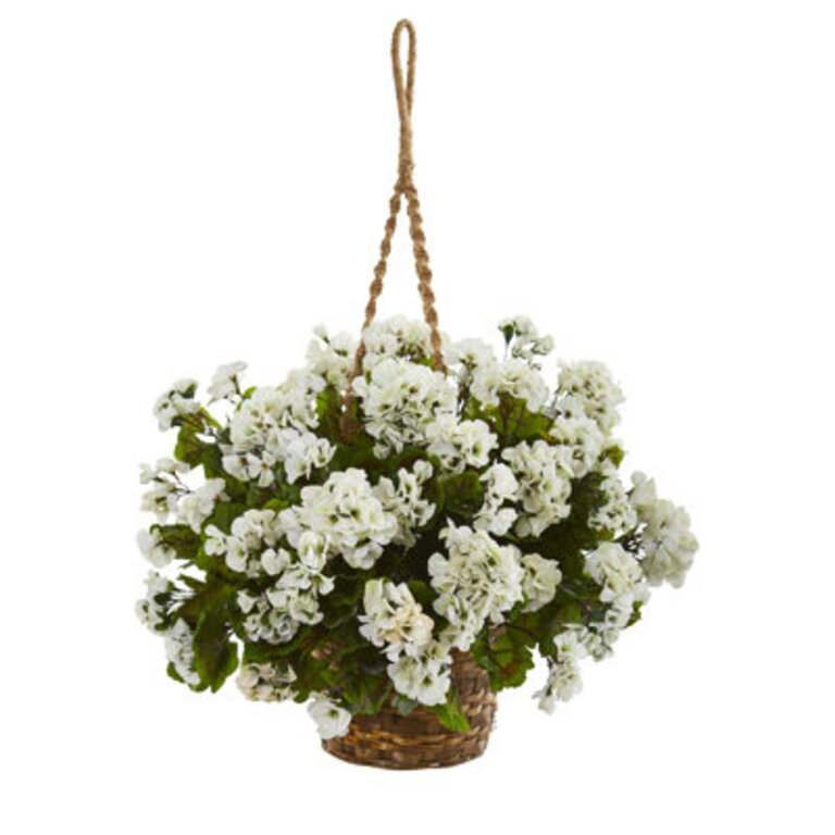 Geranium Hanging Basket Flower Color: White