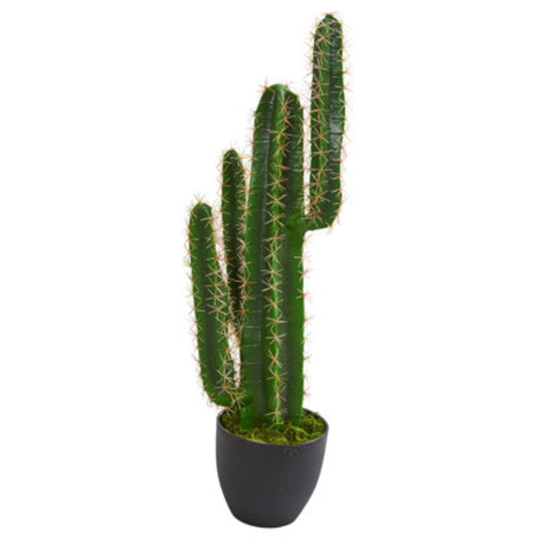 29.5" Artificial Cactus in Pot