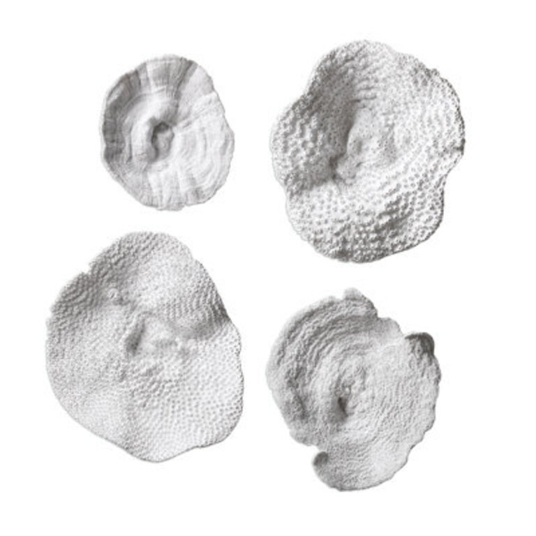 4 Piece Sea Coral Wall Décor Set