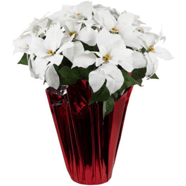 Poinsettia Arrangement Size: 26" H x 17" W x 17" D, Flower Color: White, Base Color: Red