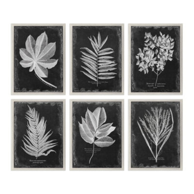 5 - Pieces