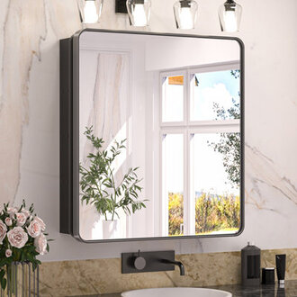 Gervon Rectangle Recessed or Surface Medicine Cabinet with Shelves and Mirror