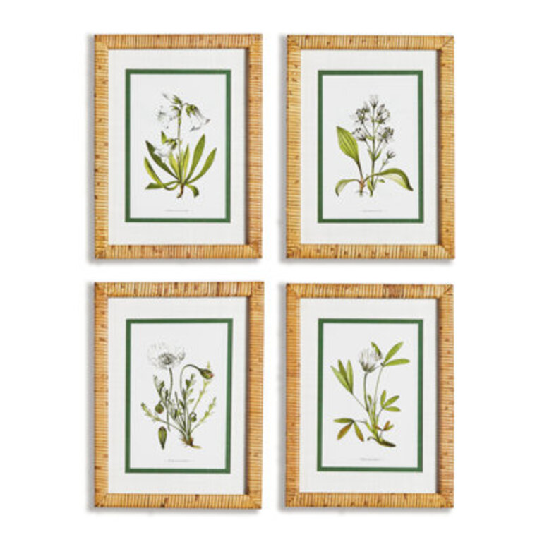 Andel  White Floral Study  4 - Pieces