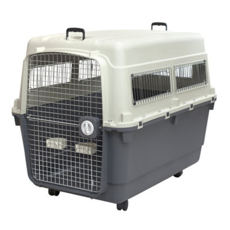 Polley Plastic Dog Pet Carrier