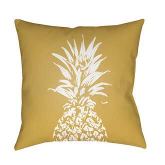 Outdoor Square Pillow Cover  Insert