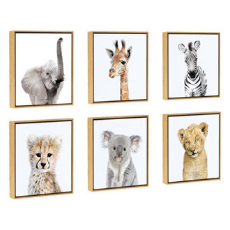 Safari Animals by Amy Peterson - Floater Frame Graphic Art Print on Canvas