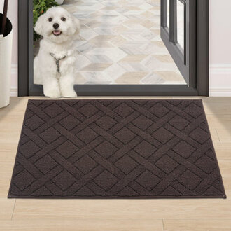 Dioselina Non-Slip Indoor Doormat