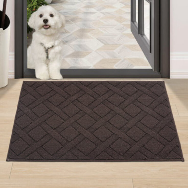Dioselina Non-Slip Indoor Doormat