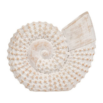 Trish Ceramic Shell Figurine - Elegant Home Decor Accent Piece - 7 x 3 x 7