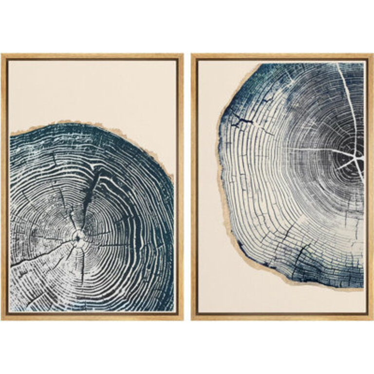 Navy Blue Wood Tree Ring Simple Minimalist Modern Artwork Framed Canvas 2 Pieces Print Wall Art