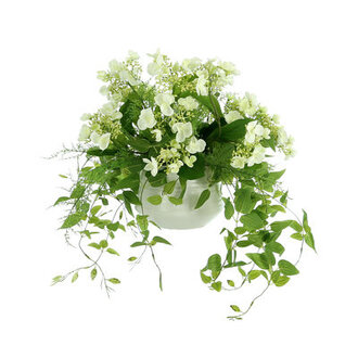 Ferrer Budding Hydrangea Floral Arrangements in Pot