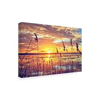 All-Weather Canvas Landscape  Nature Wall Decor