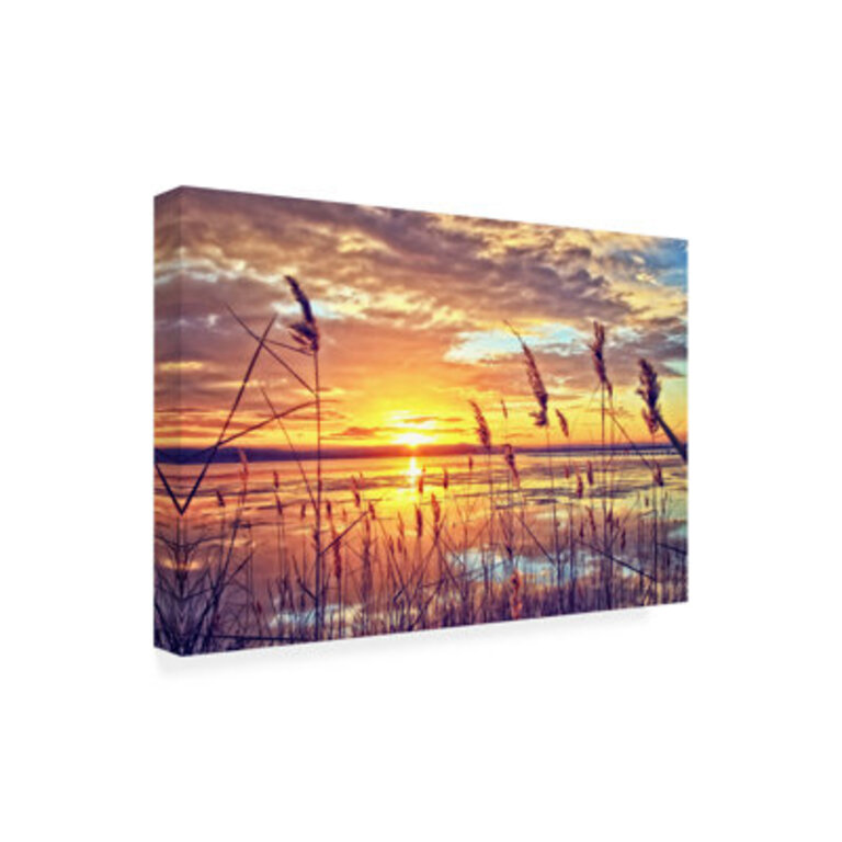 All-Weather Canvas Landscape  Nature Wall Decor