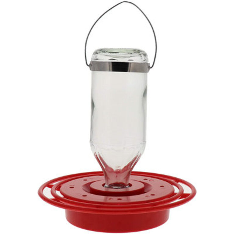 Birds Choice 8 oz Hummingbird Nectar Feeder with 8 Nectar Ports Red
