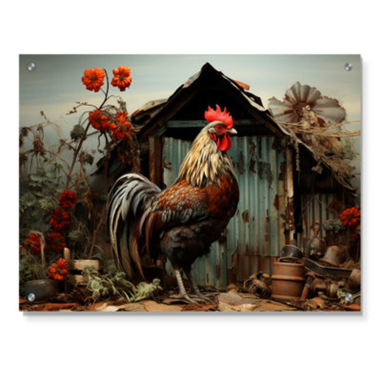 Roaster Barnyard Serenade I - Barn Acrylic Wall Art Decor