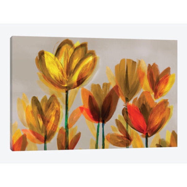 Northern Lights  Contemporary Poppies Yellow  by Northern Lights