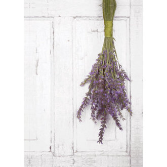 Hanging Lavender  Painting Print